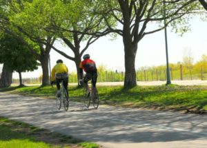 pair of bicycle riders