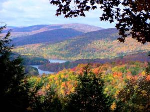 fall colors in mountain landscape