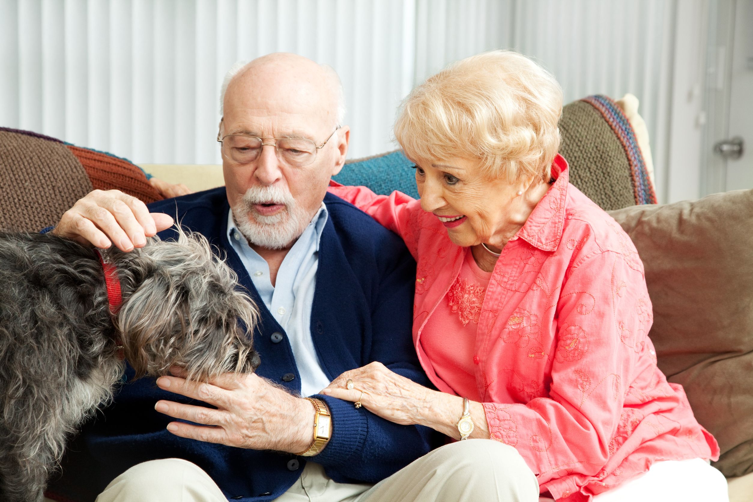 Senior couple with dog