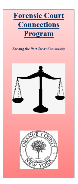 Court Connections Brochure cover